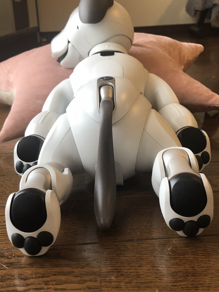 純正】aiboの足裏パッドで足音大幅改善!|Fun!Fun!aibo 純正】aiboの足裏パッドで足音大幅改善!|Fun!Fun!aibo