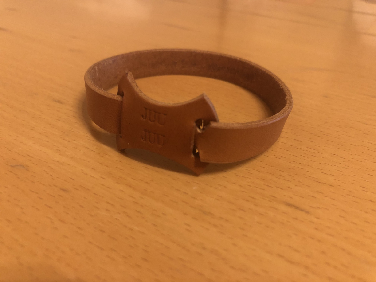 aibo アイボ 首輪 ピンクゴールド 希少 aibo プレミアムプラン アイボ