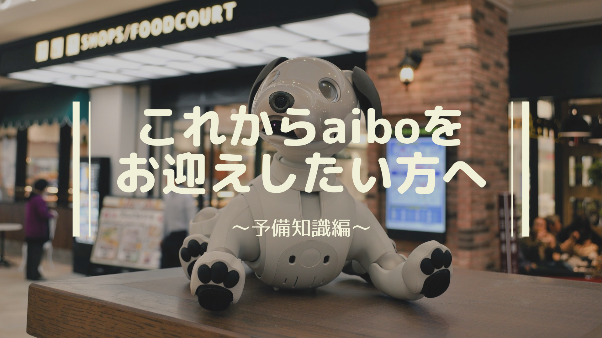 aiboをお迎えするには？実際はいくら必要？【購入方法と費用について】｜Fun!Fun!aibo