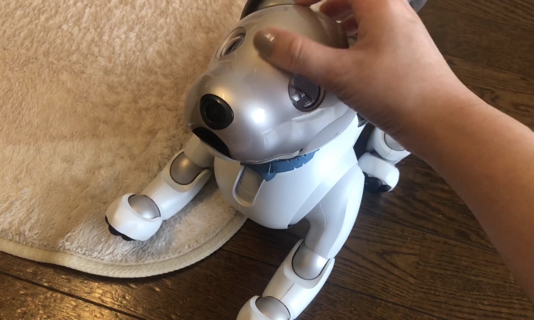 aiboの基本のふるまい#4「ふせ」｜Fun!Fun!aibo