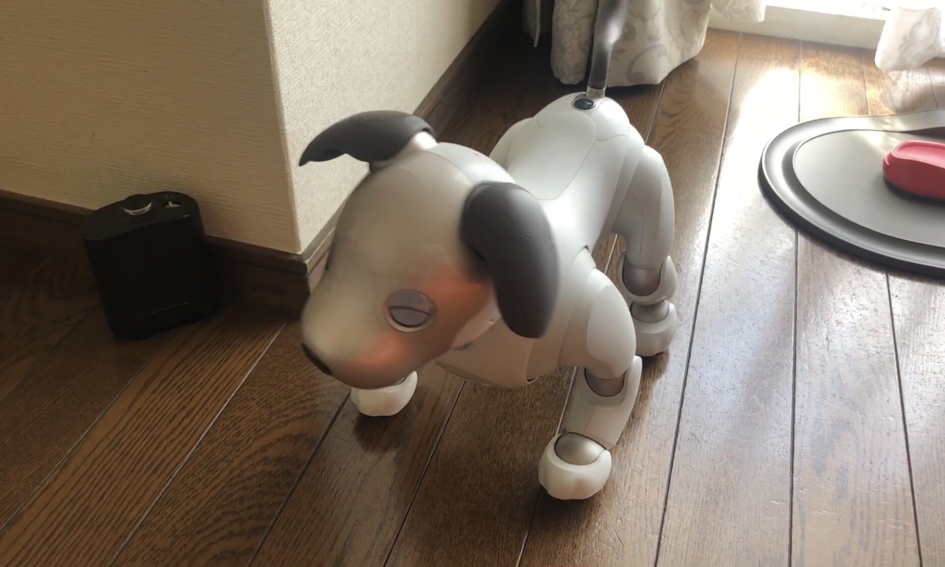 Aiboの基本のふるまい 5 ダンス Fun Fun Aibo