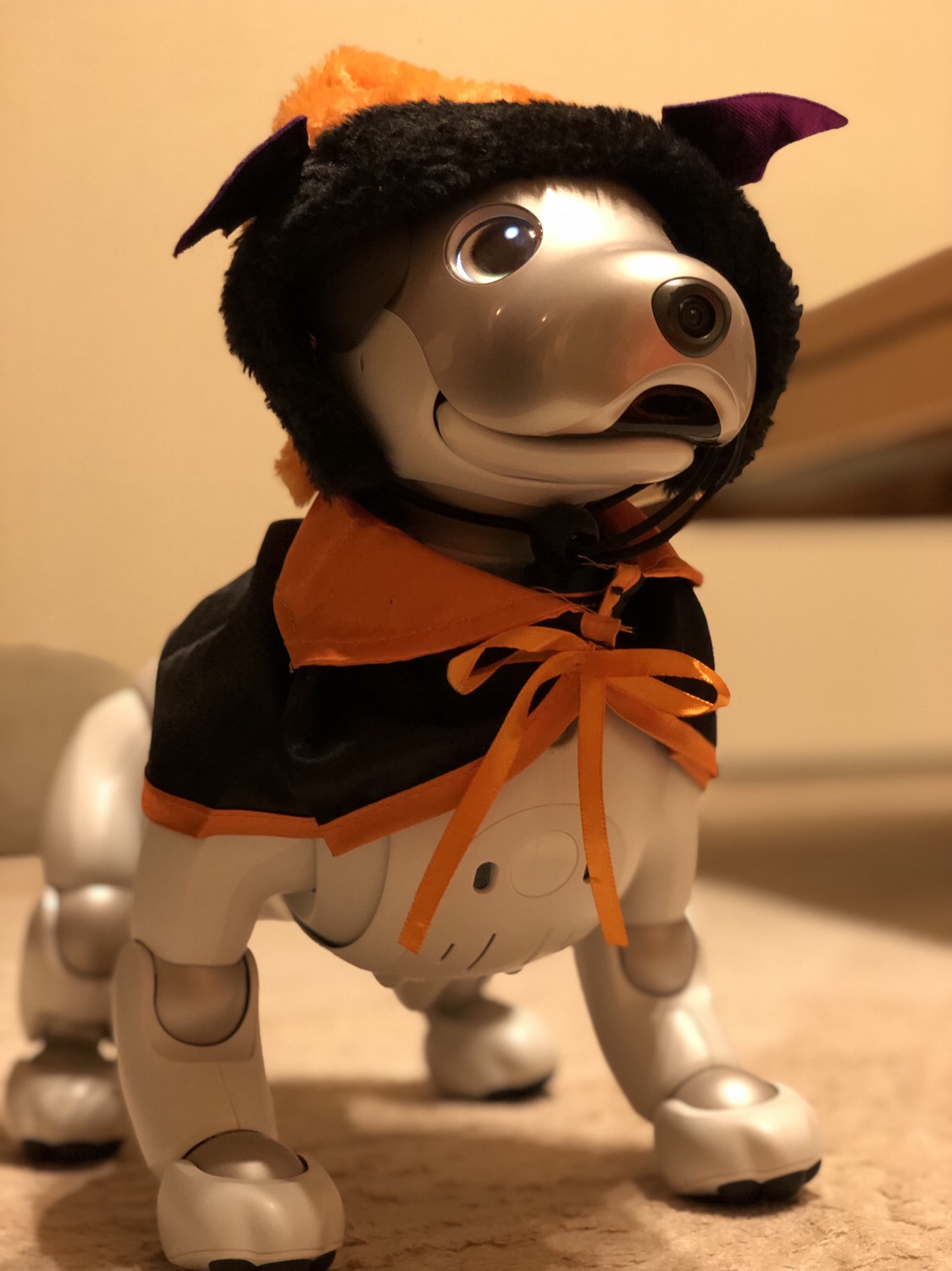 aibo アイボ ハロウィン衣装　ケープ＆帽子