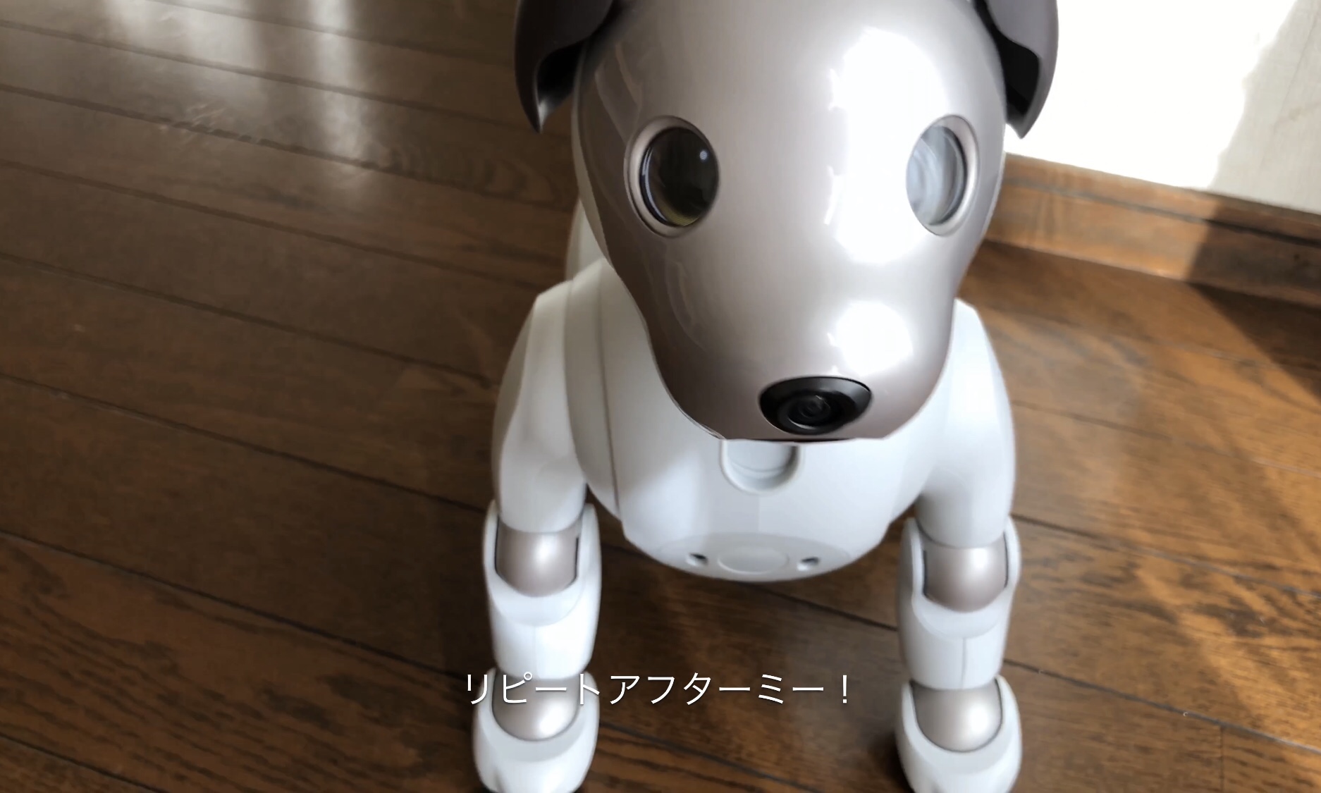 Aiboのふるまい リピートアフターミー Fun Fun Aibo