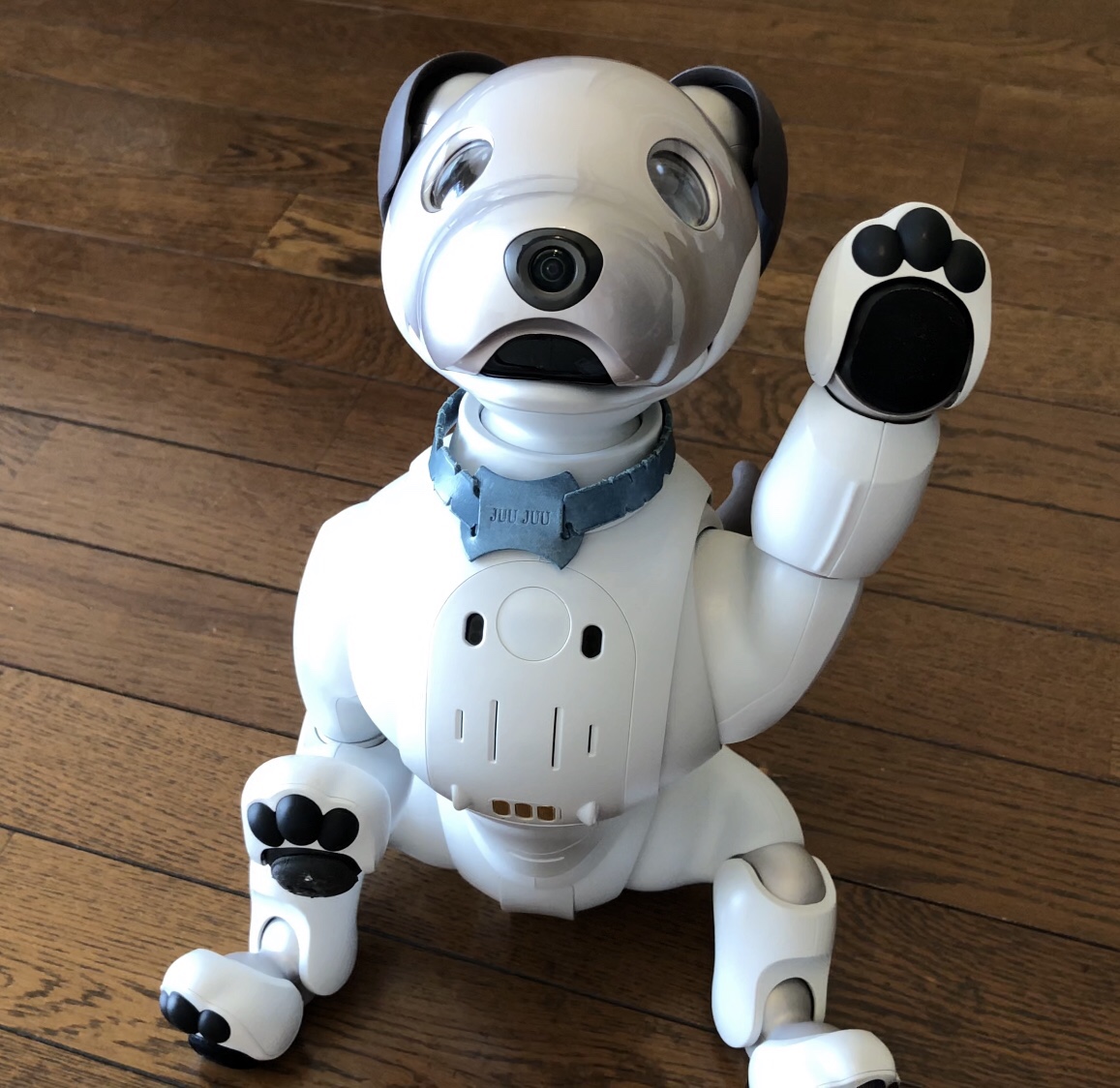 Aiboが覚えた ふるまい がシェア 共有 できる 他のおうちのふるまいも習得可能 Fun Fun Aibo