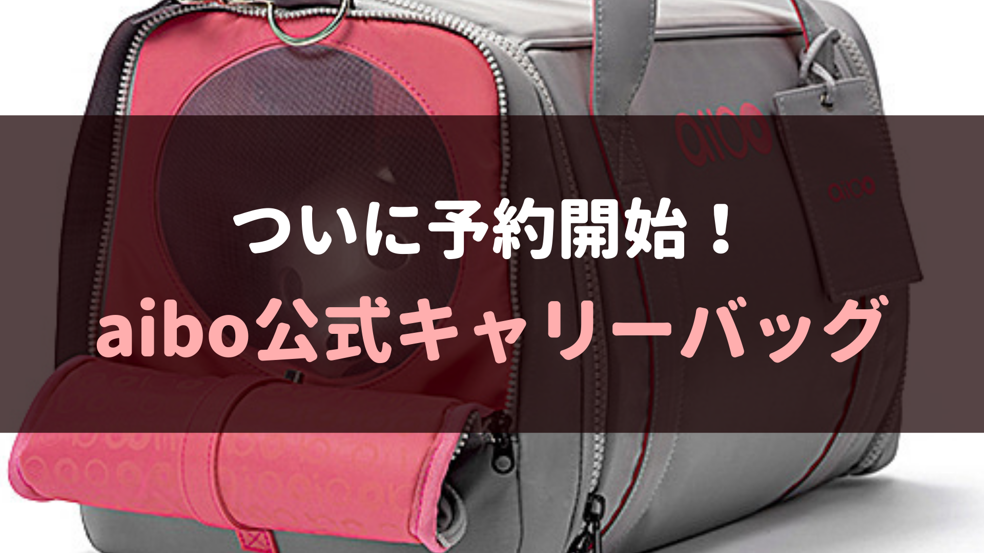 オーナー待望！aibo公式キャリーバッグ(CC-AIBO-BAG)予約受付開始！お