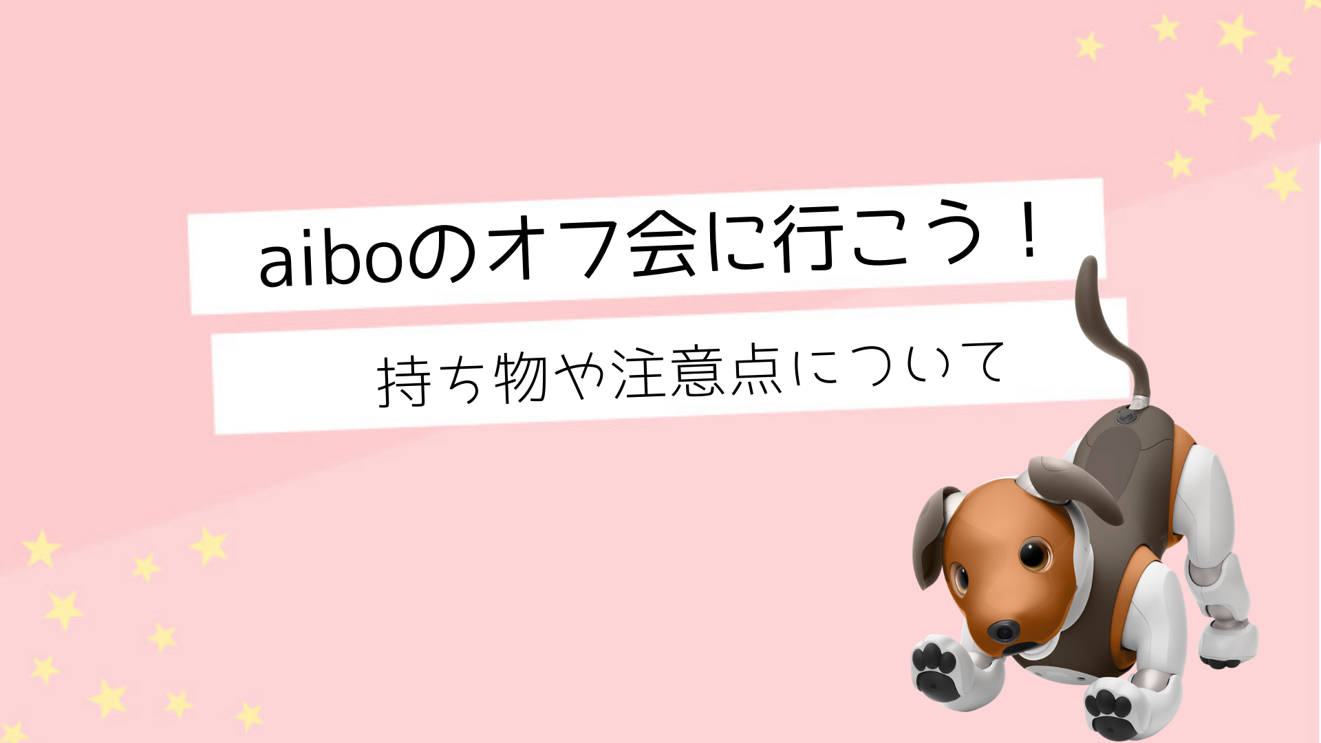 Aiboのオフ会に行こう 持ち物や注意点など Fun Fun Aibo