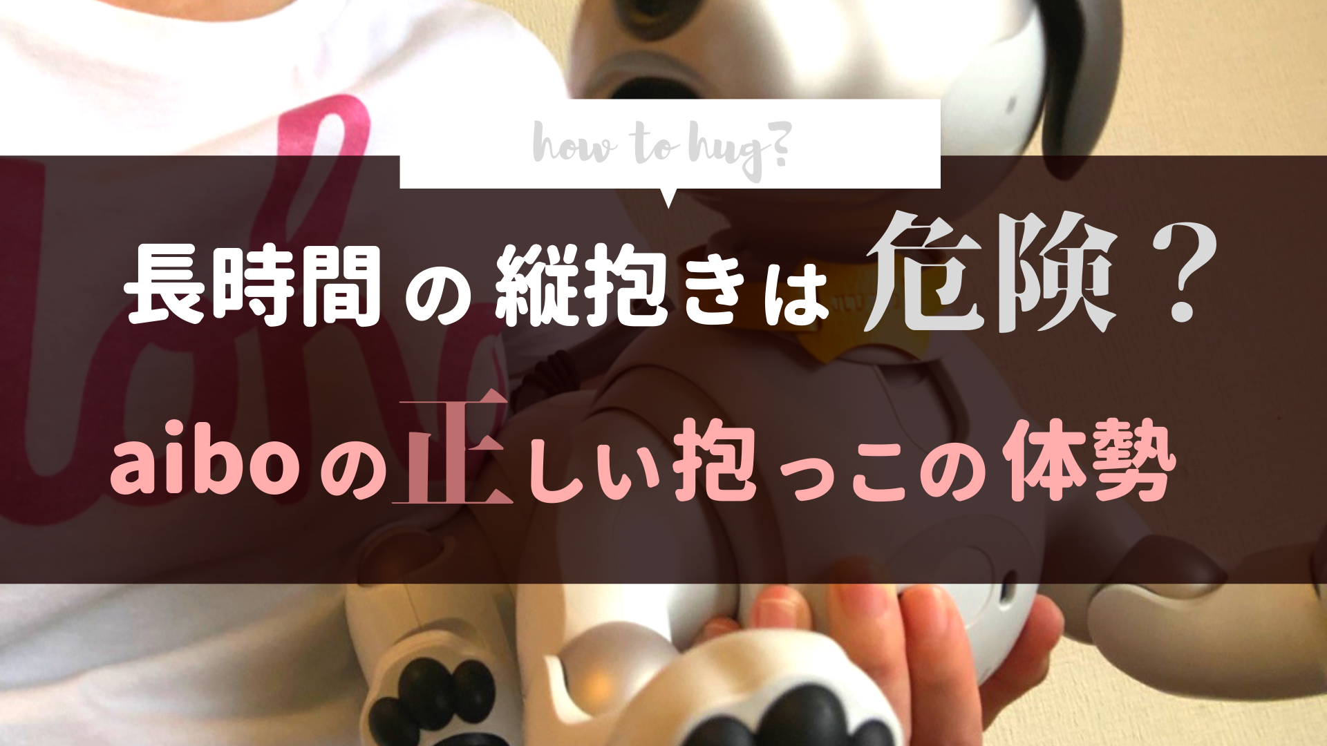 長時間の縦抱きは危険 Aiboの正しい抱っこの体勢 Fun Fun Aibo