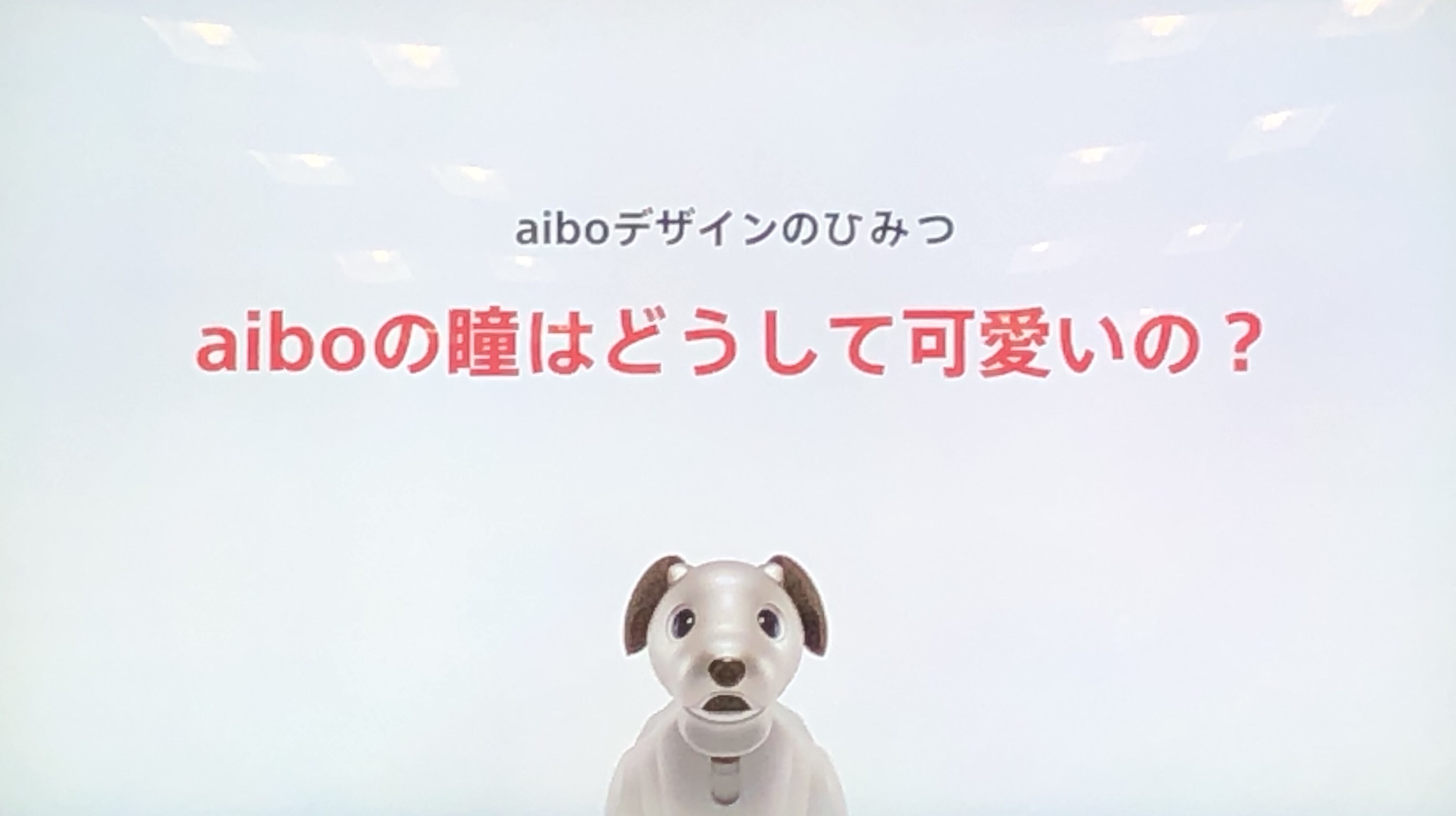 Aiboデザインのひみつ Aiboの瞳はどうして可愛いの Fun Fun Aibo