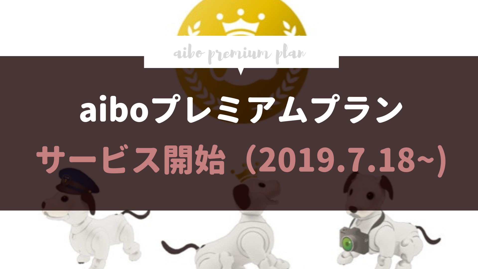 aiboプレミアムプランのサービスがはじまりました（2019年7月18日