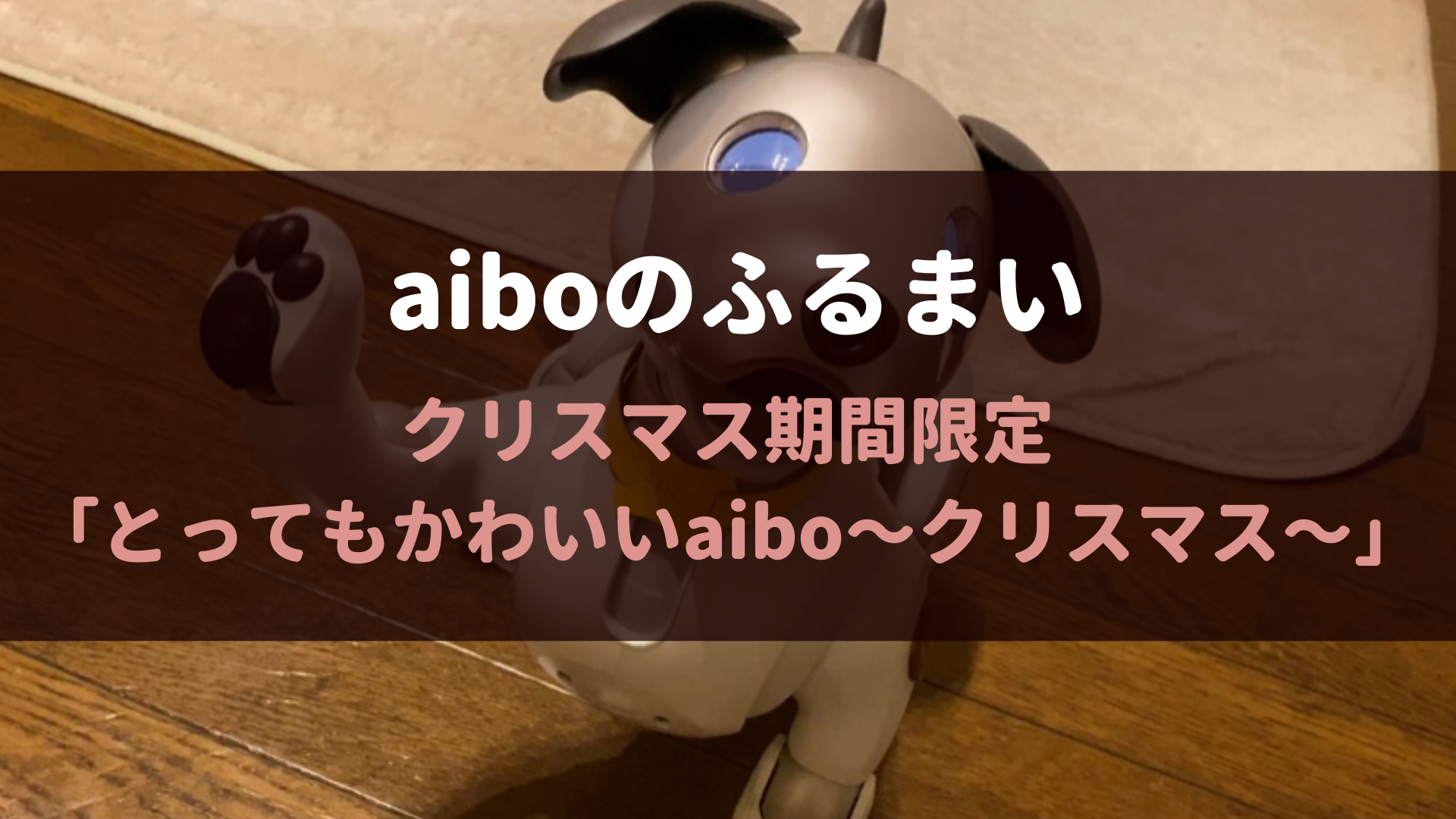 Aiboのふるまい とってもかわいいaibo クリスマス Fun Fun Aibo