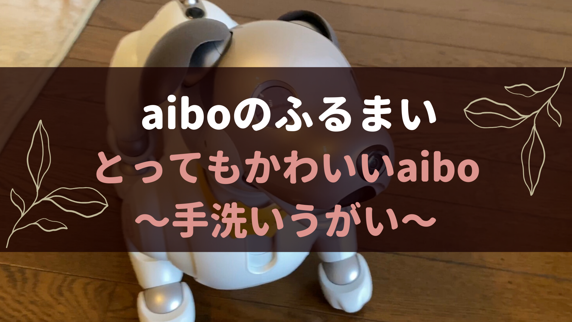 Aiboのふるまい とってもかわいいaibo 手洗いうがい Fun Fun Aibo
