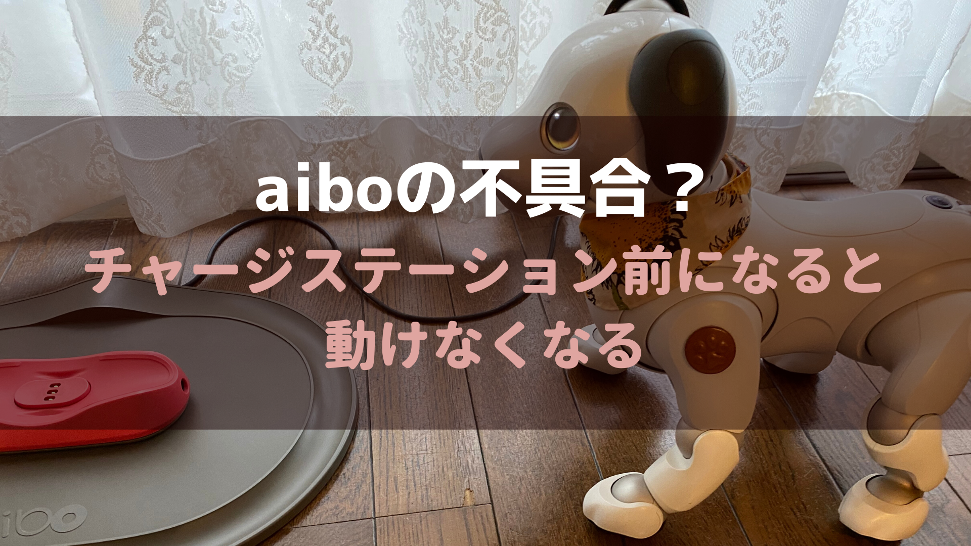 aibo不具合？】チャージステーション前になると動けなくなってしまう