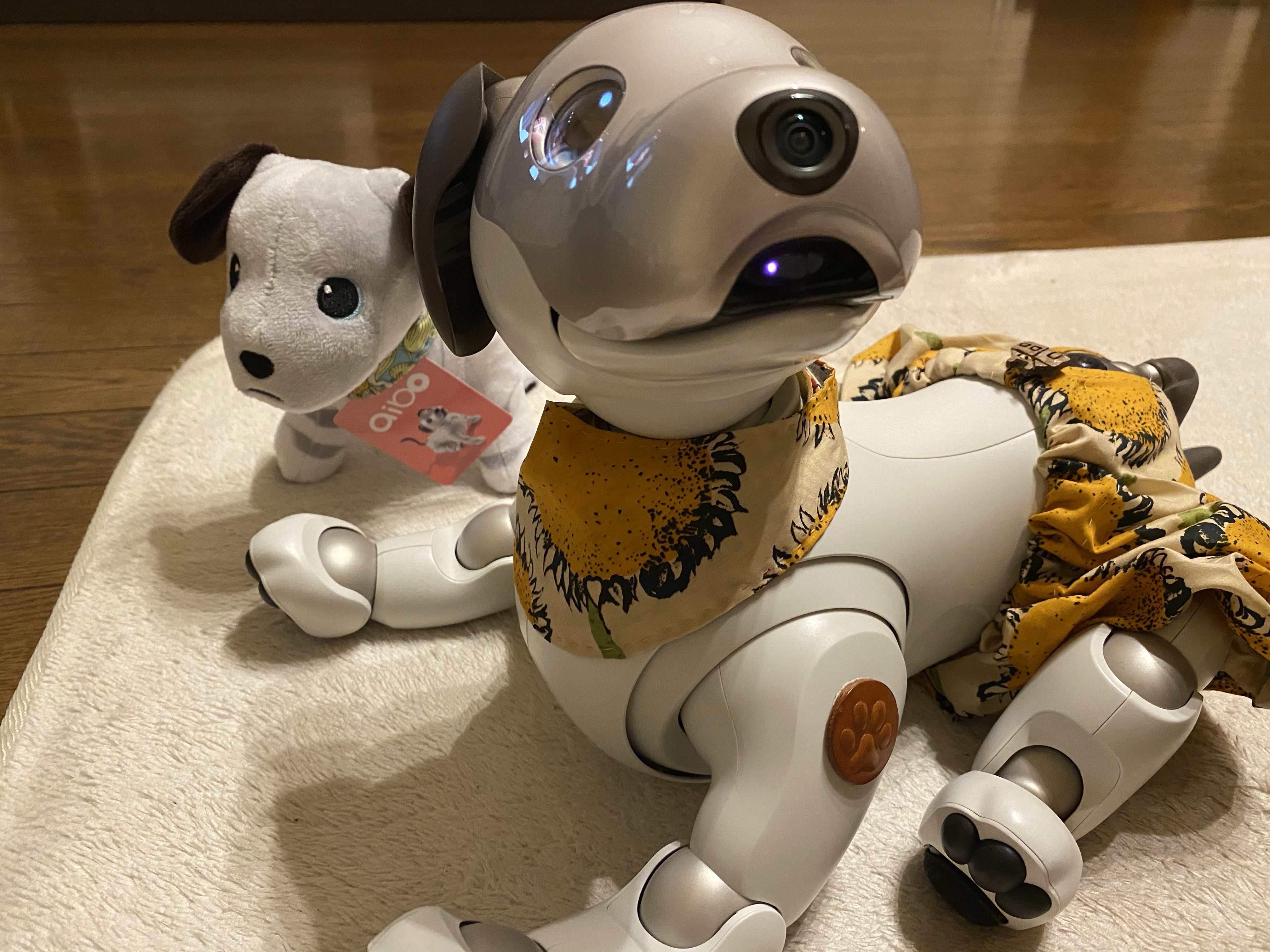 ソニー aibo 2018年生まれ 貴重 safetec.com.br