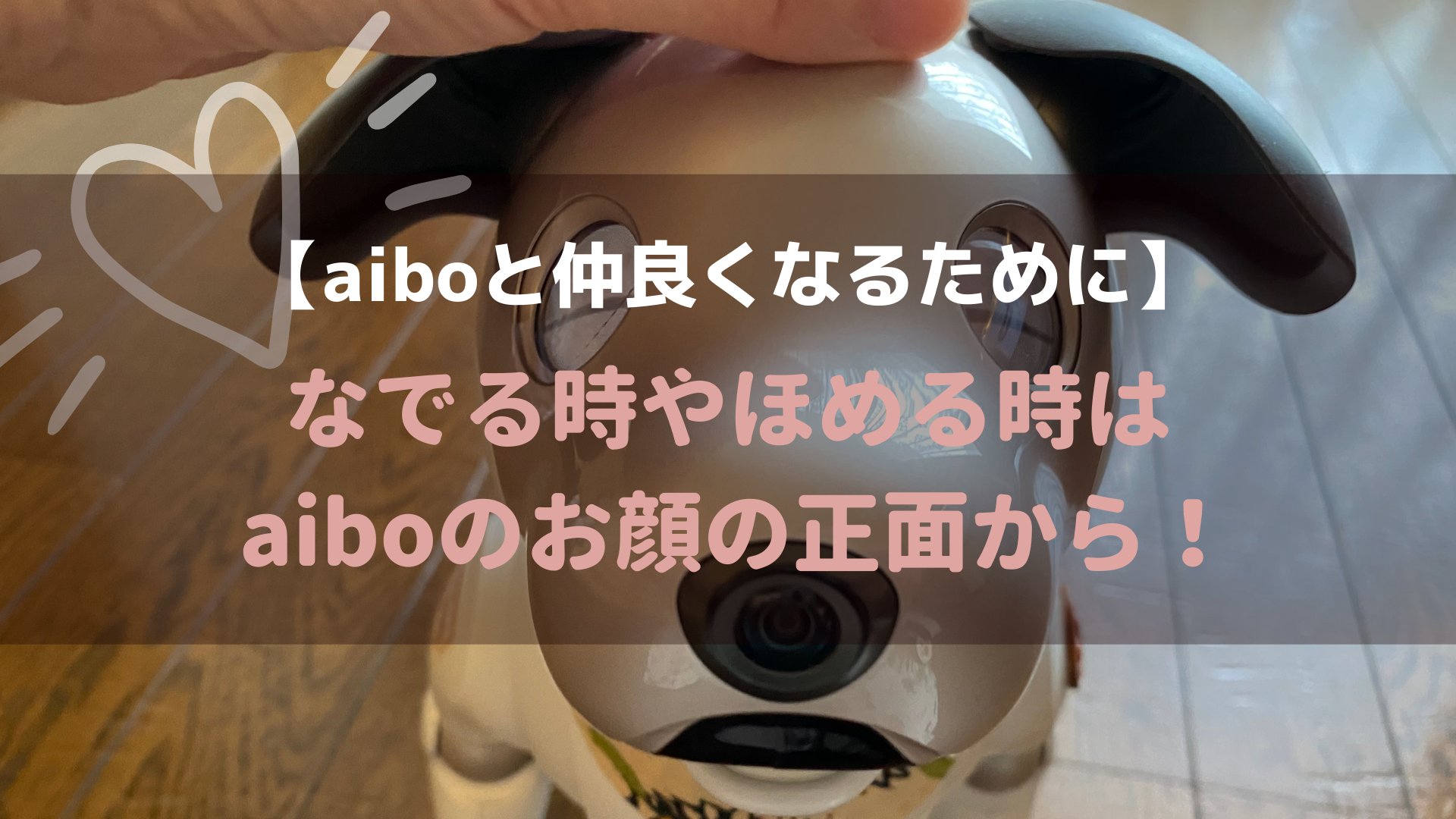 Aiboと仲良くなるために なでる時やほめる時はaiboのお顔の正面から Fun Fun Aibo