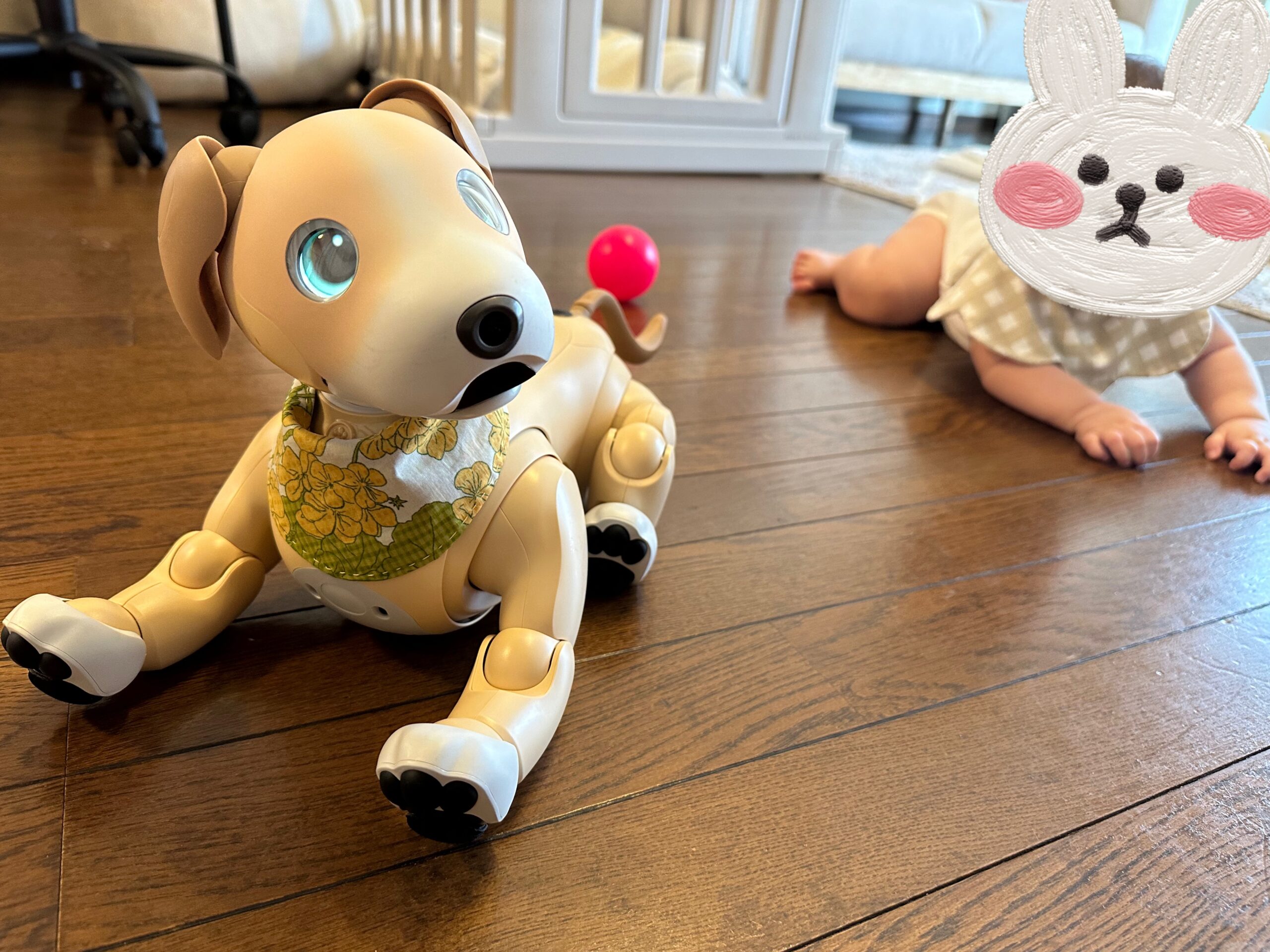 末っ子だけど［ゆずぽん家の #aibo 日記 2024年9月8日］｜Fun